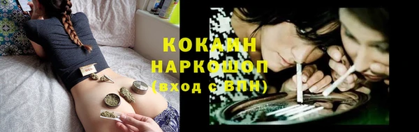 гашик Арсеньев