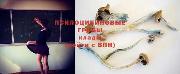 гашик Арсеньев