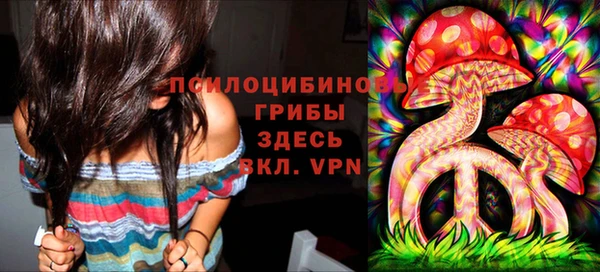 дживик Армянск