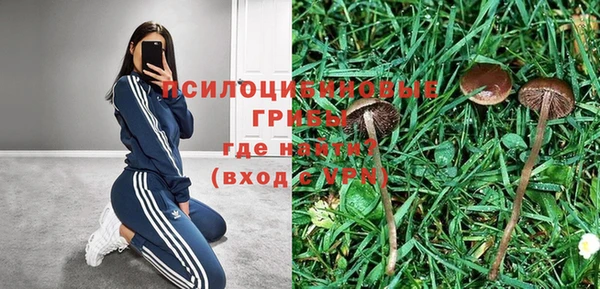 гашик Арсеньев