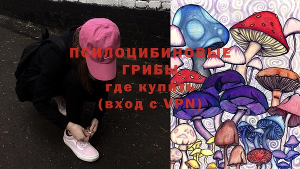 гашик Арсеньев