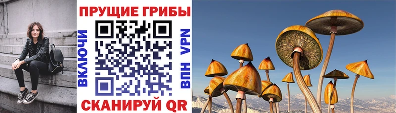 Псилоцибиновые грибы мухоморы Краснообск