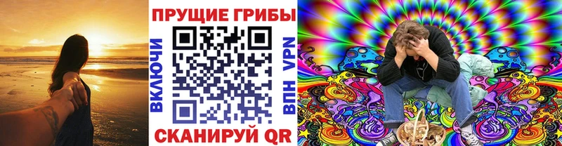 Галлюциногенные грибы Cubensis  Краснообск 
